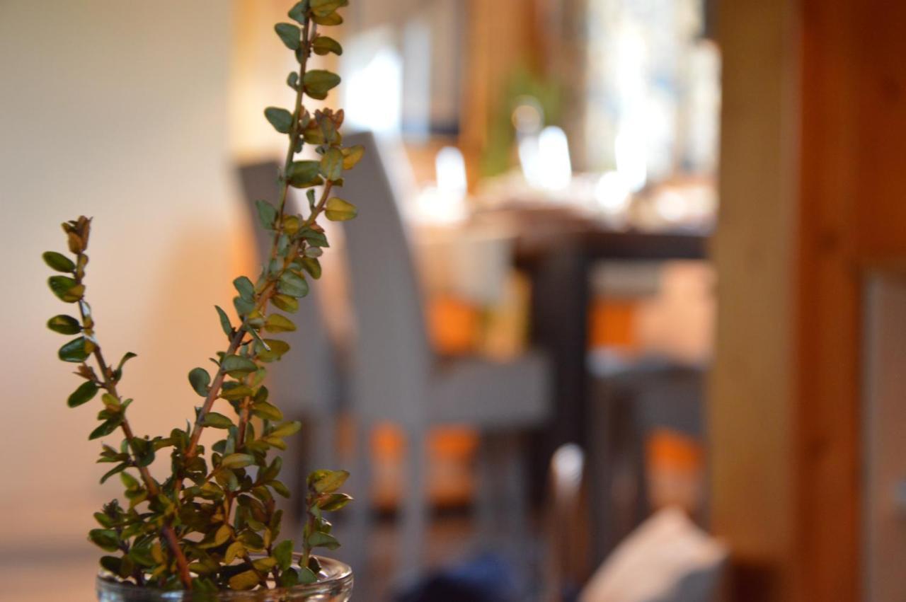 Apartmán Il Nido Dei Sogni Sanzeno Exteriér fotografie